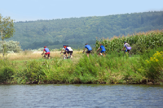 Radfahrer am See